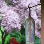 Bottle on a hook and a tree with pink blossoms in the background