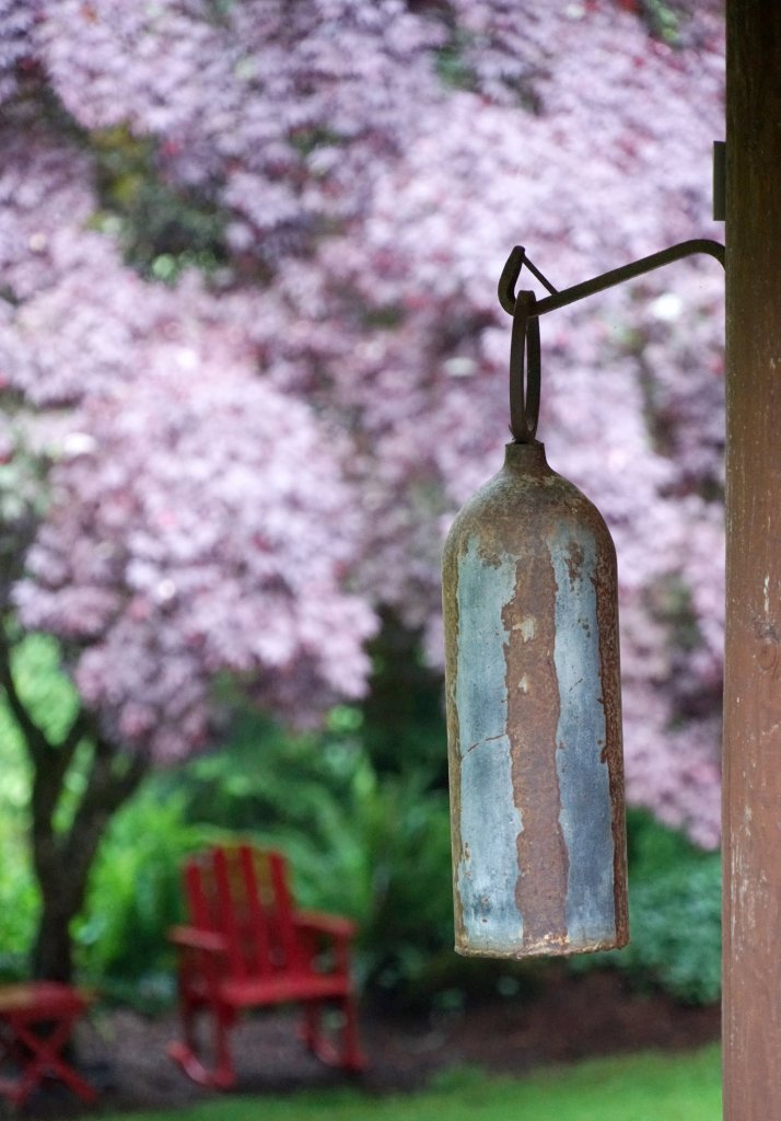 Bottle on a hook and a tree with pink blossoms in the background