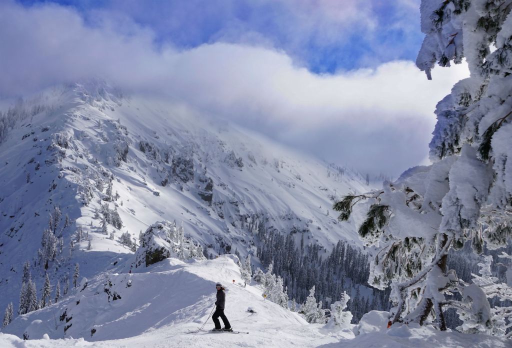 Skier standing on snowy mountains
