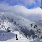 Skier standing on snowy mountains