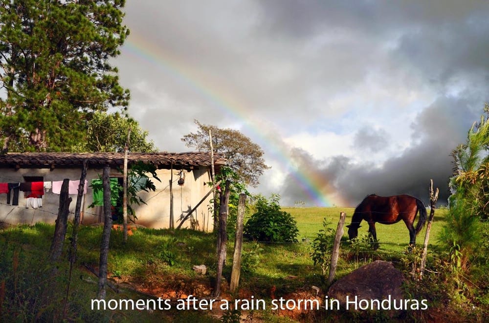 A horse standing in the grass next to a building with a rainbow in the background