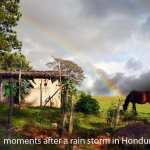 A horse standing in the grass next to a building with a rainbow in the background